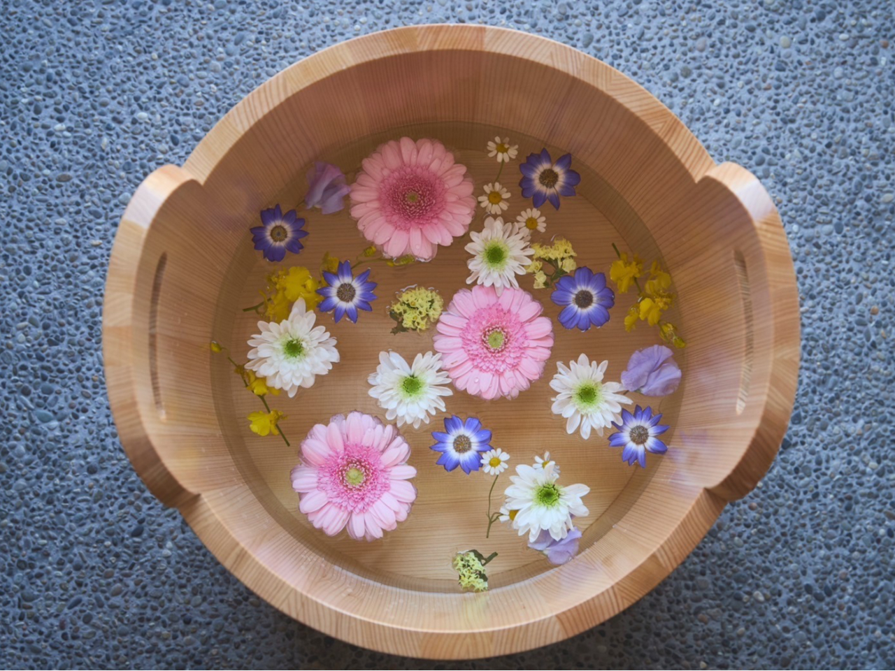 lC̐Ԃ𕂂ׂ؂₩ȑB{̎lG܁X̑Ԃ̔́AȂ̐SDȋCŖĂ܂B