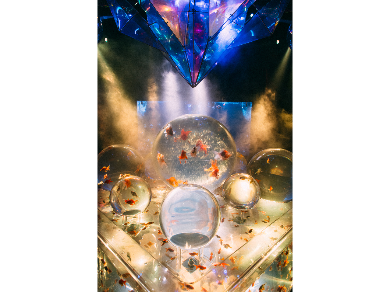 ł̊łȂ ~ A[g ~ { ~  ~ G^Z ܊hًԉfX|bg