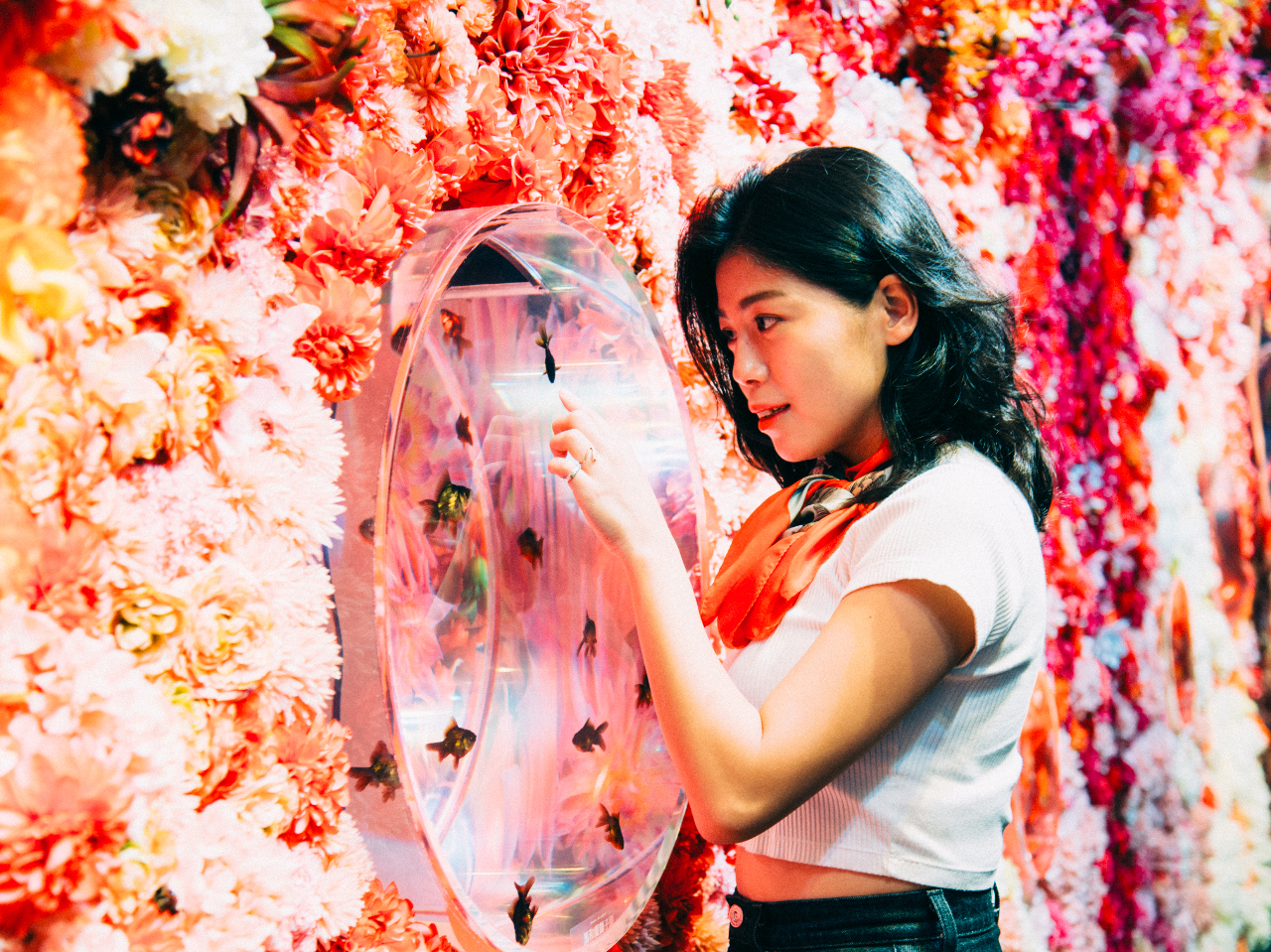 tHgWFjbNȎʐ^B邱ƊԈႢȂI