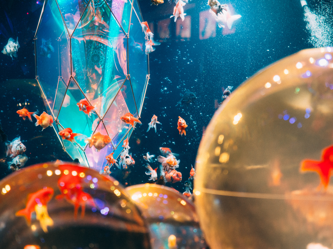 ~n̉AEgbg[тȁ[ŃVbsOy߂