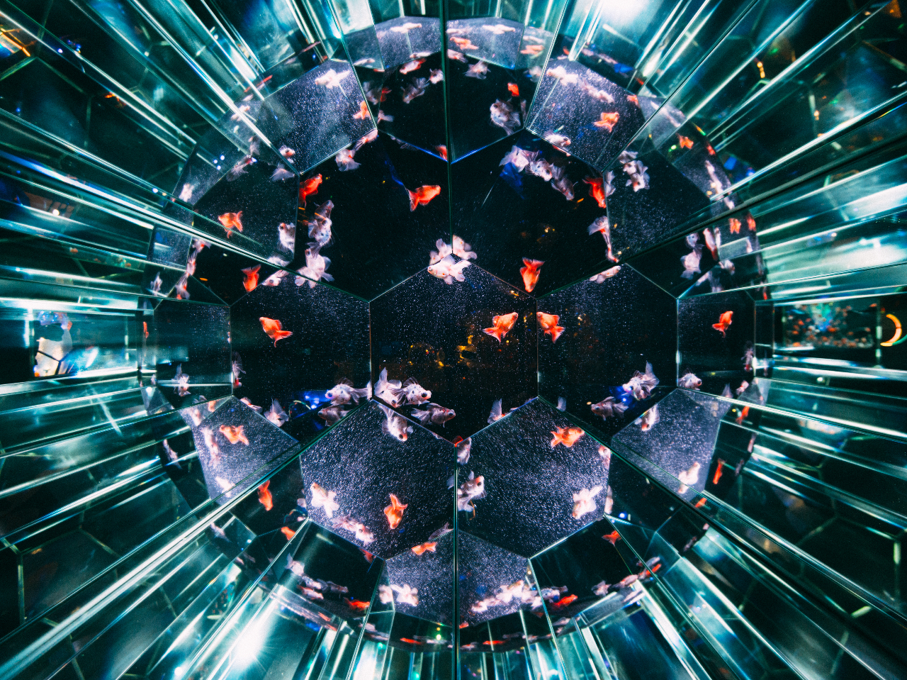 A[gWcu~[{[[YvƈꏏɁA~[WAł̊łȂ܊h郁CA[g[NB͂܂ɁAًDISCOB