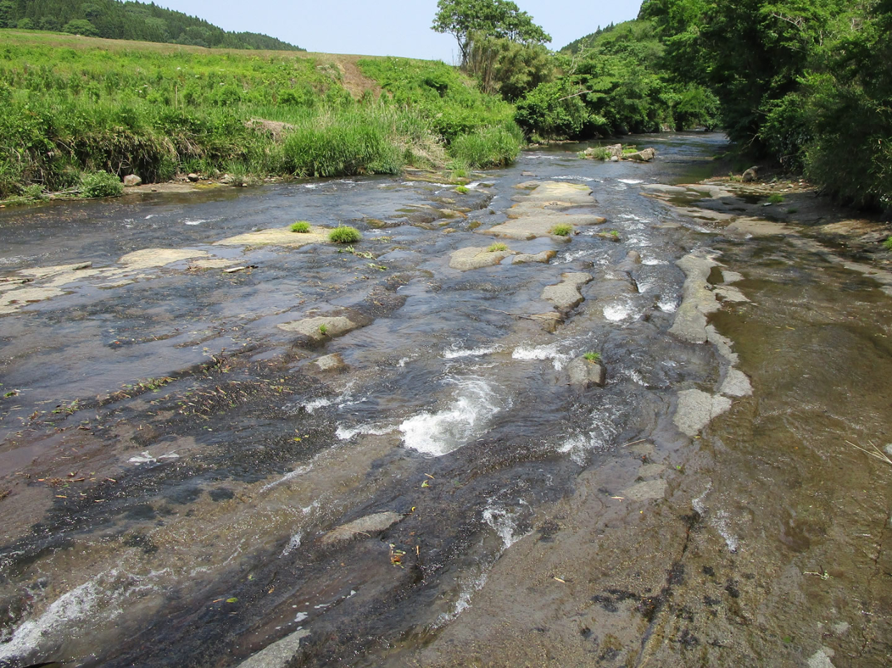 Lv̂ɂ͔삪ĂA܂B ́A󐣂ł̂ŁAȂqlV΂邱Ƃo܂B