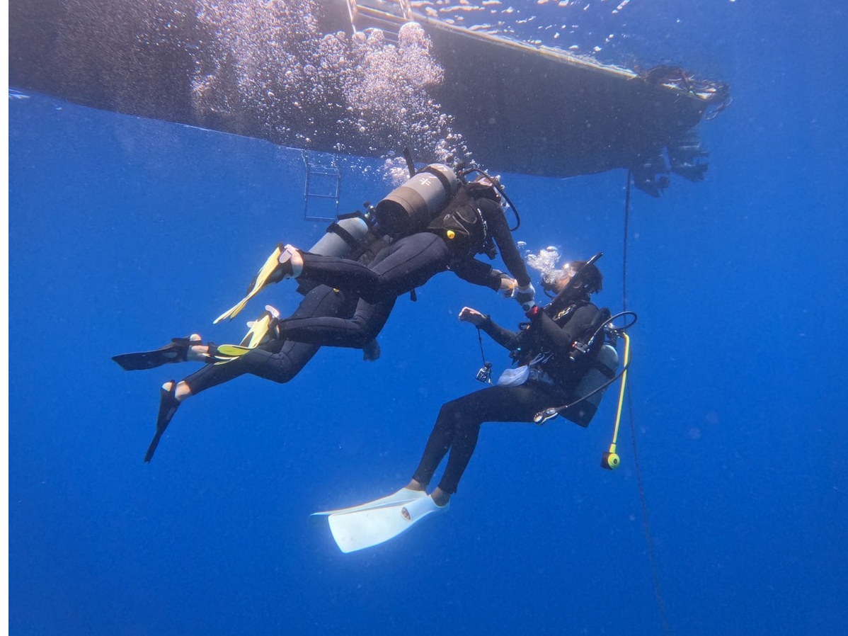 �j���Ȃ��Ă��_�C�r���O���o���̂��q�l���������背�N�`���[�ƈ��S�Ǘ����������܂��̂ň��S���Ă��y���݂��������I�I