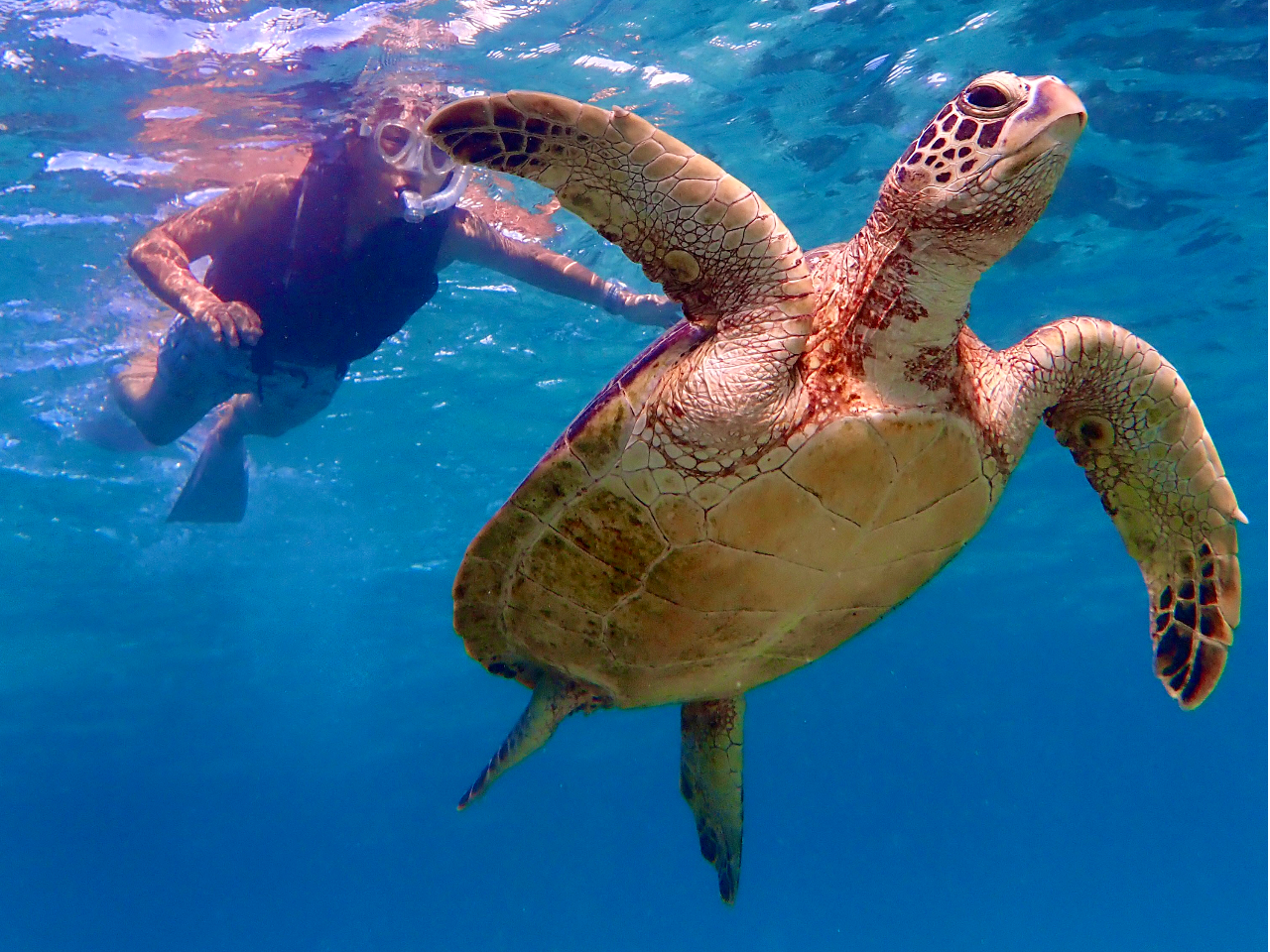 E~KVm[P}O[uJk[Iׂ܂IVm[P̓E~KPOOpłI