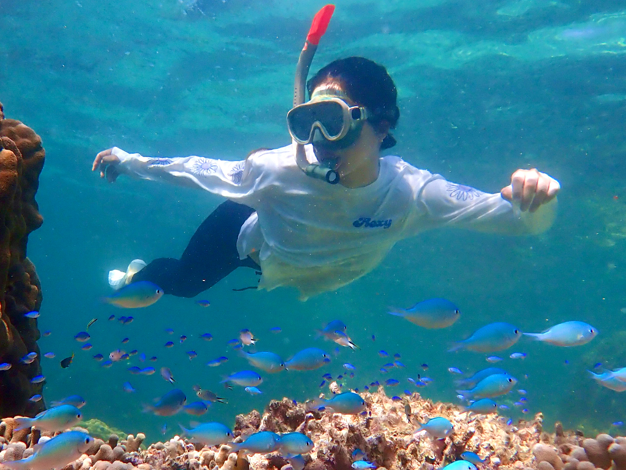 ���S�҂���㋉�҂܂ŁI�M�ы���T���S���萷��̊C�ցI