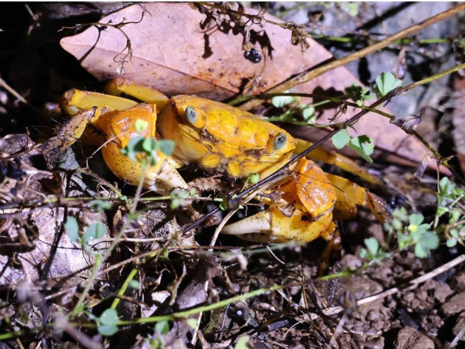 Ԃ̊ώ@Ȃ̂łqlłSĊy߂܂I