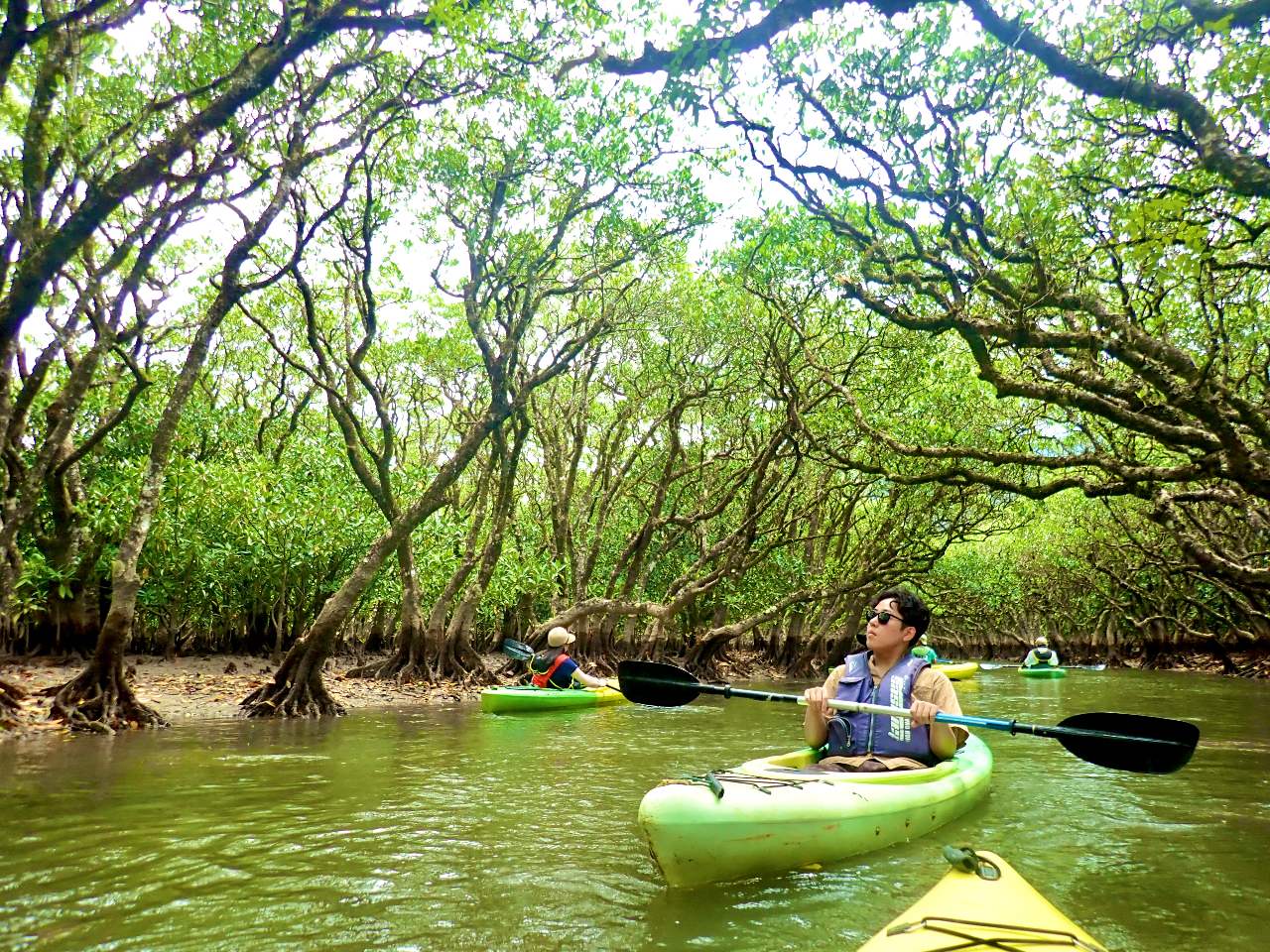 �������̓}���O���[�u�̃g���l���ցI