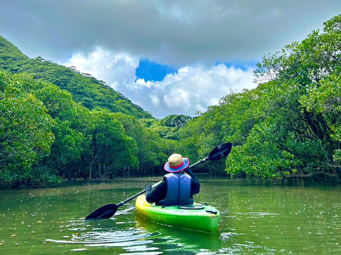 �P�l���ł��}�C�y�[�X�ɁI