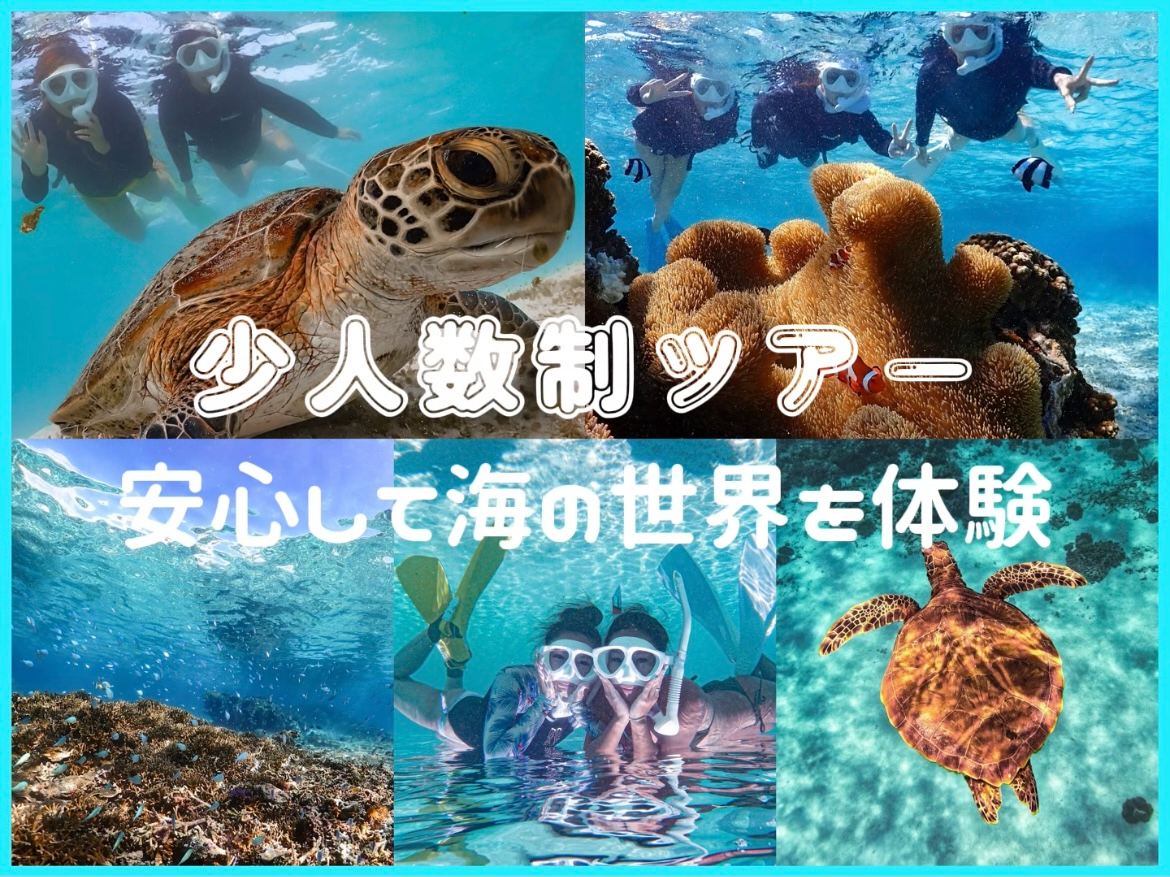 【宮古島】シュノーケルツアー!初心者でも安心少人数制ツアー♪高確率で海亀に遭遇!海の世界を体験