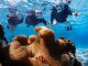 【宮古島】シュノーケルツアー!初心者でも安心少人数制ツアー♪高確率で海亀に遭遇!南国ならではのいろとりどりの魚にも会える!