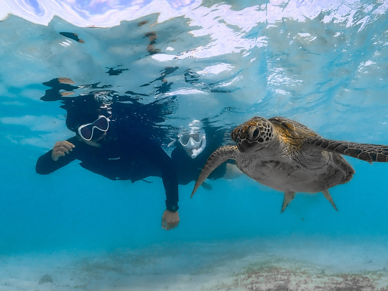 【宮古島】シュノーケルツアー!初心者でも安心少人数制ツアー♪高確率で海亀に遭遇!カップルやご夫婦で優雅なひと時を!