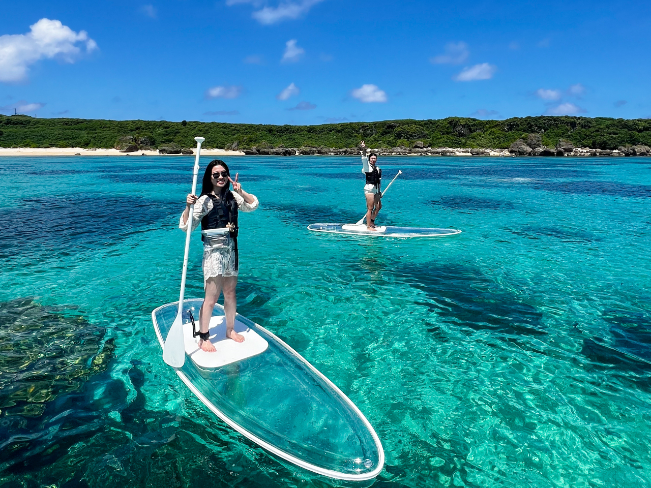 y{ÓzNATbvu1gݐ؃vCx[gcA[vNASUP̌&h[BetIqɑlCI