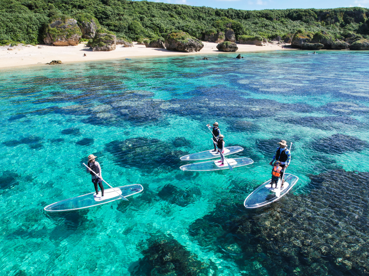 y{ÓzNATbvu1gݐ؃vCx[gcA[vNASUP̌&h[BetIƑōō̎voI