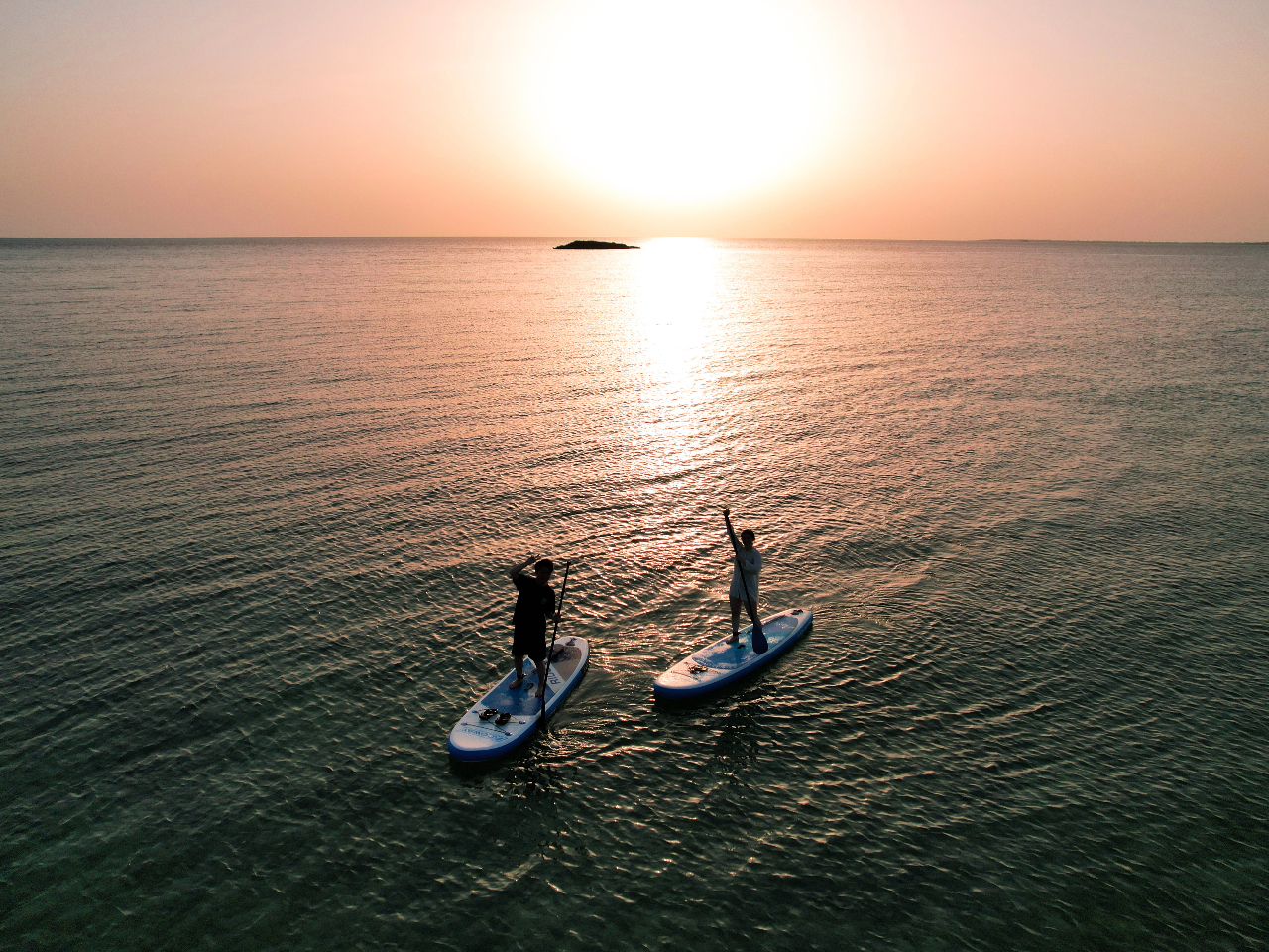 y{ÓzNATbvu1gݐ؃vCx[gcA[vNASUP̌&h[BetĨh[Be