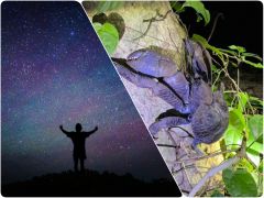 最高の夜になることをお約束します。