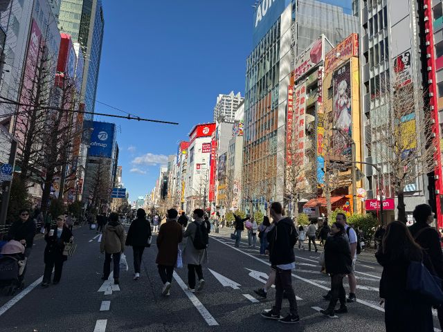 秋葉原歩行者天国の様子