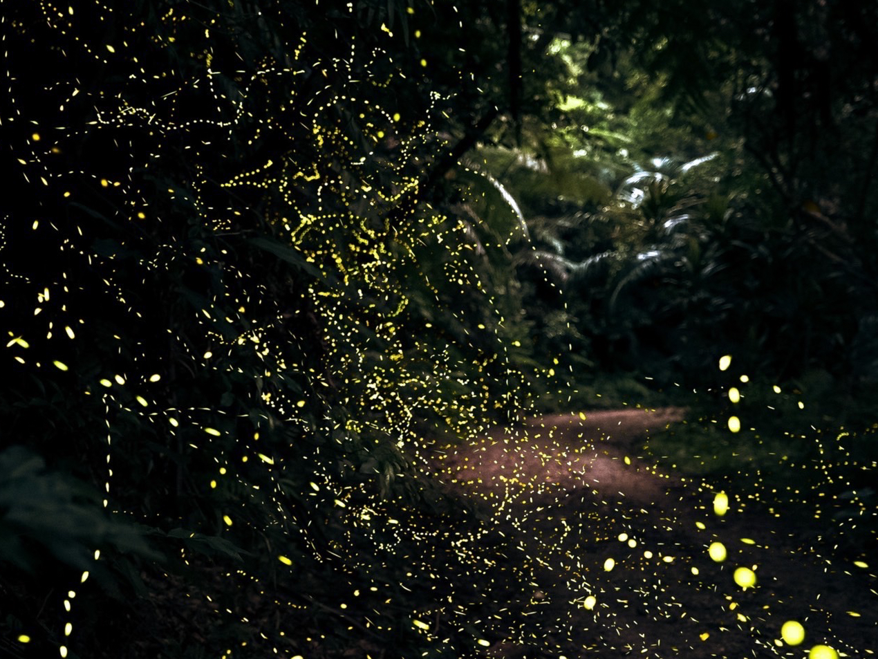 �z�^���̋��������@���v��?