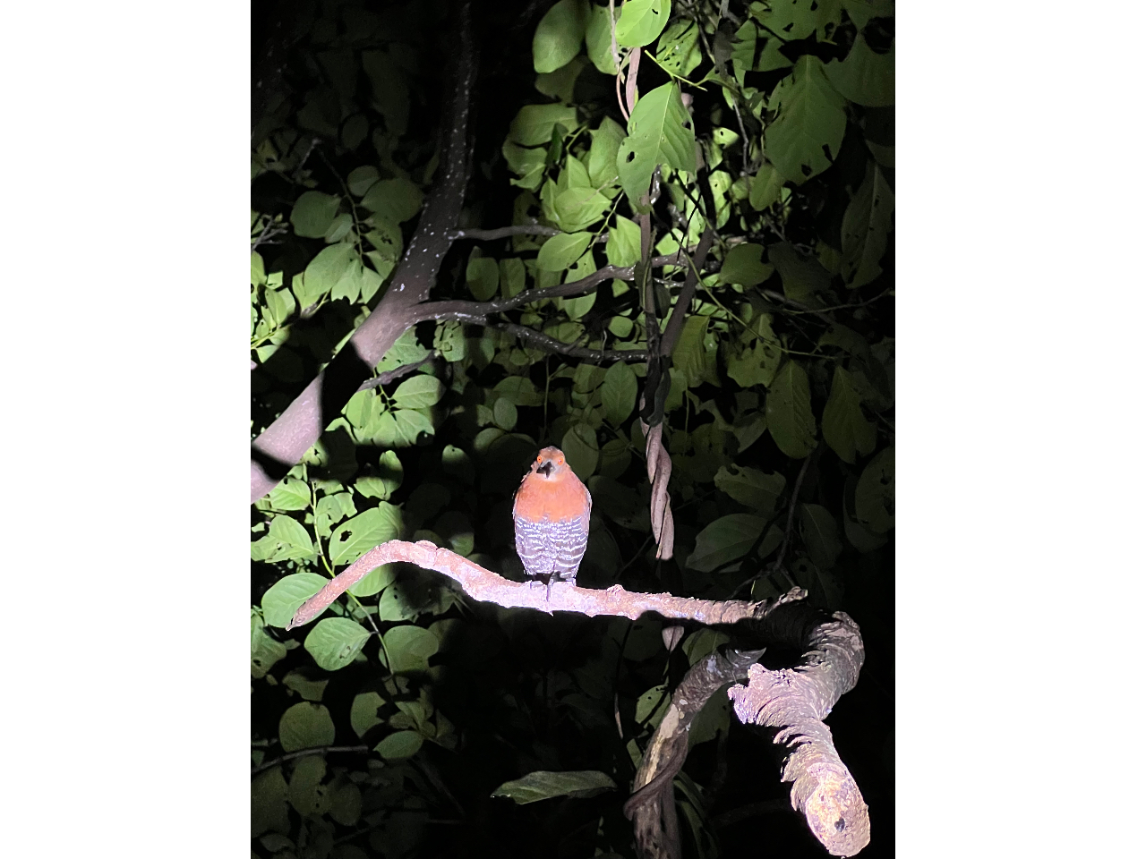 ��̓����ɂ�����I