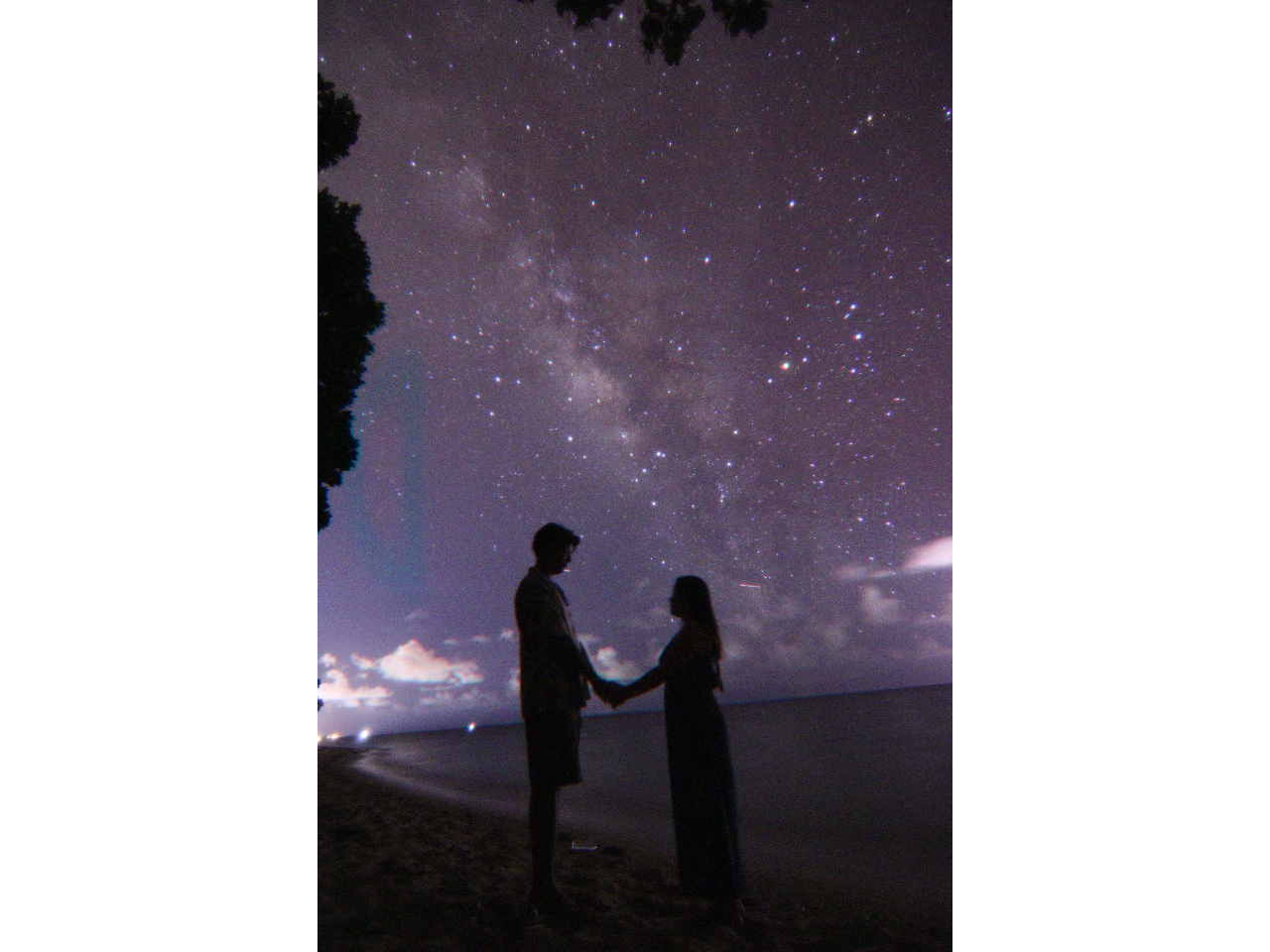 ���琯�ώ@�ł͊�]�ł���Βǉ��ł��ʐ^�B�邱�Ƃ��\�ł���