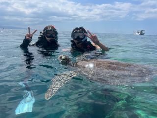 ウミガメと一緒に写真を!