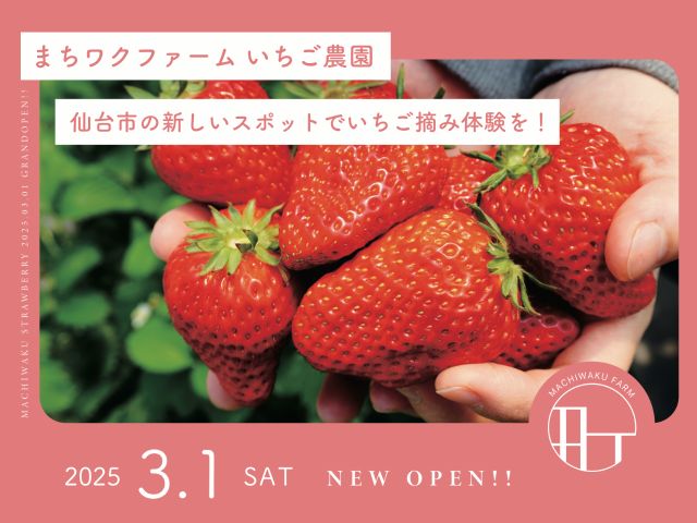 3月1日グランドオープン!