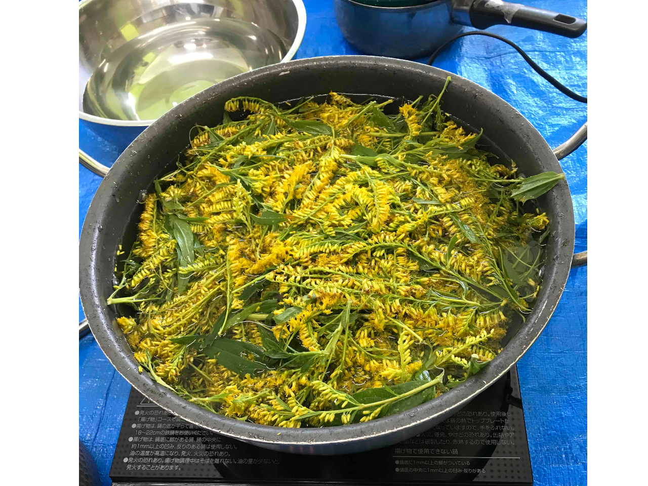 ͂ǂȐFɏo̂ł傤cԌy݂ɁI