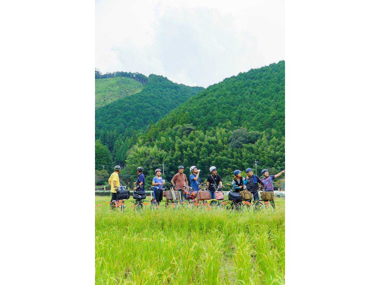 uvgł߂ÕX[TCNOcA[BciɖȂA̒nɑÂ炵jɂӂʂȑ̌͂܂B