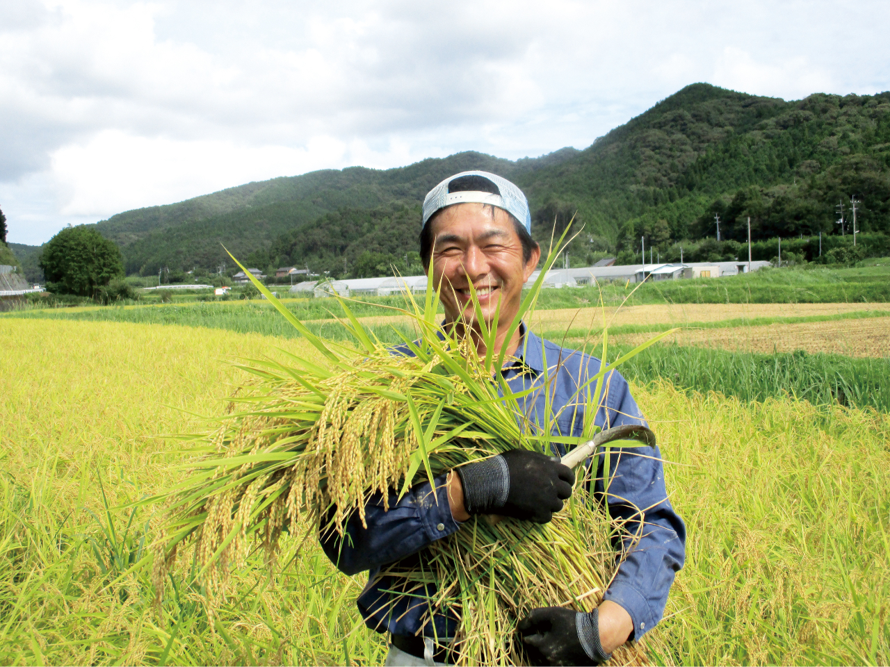 mO͐n̐Ɉ܂ꂽĂ̈BcA̎͂RƑAn͂WƑnQقǑ̂łB