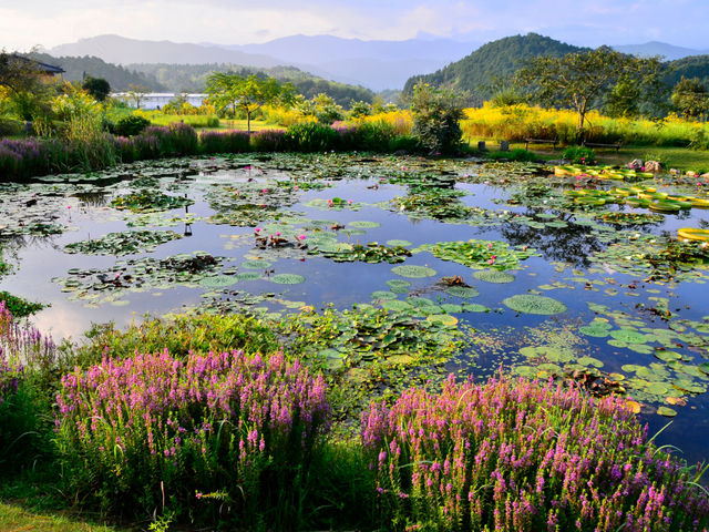 Ŋ뜜qm{^ĂĂOuqm{^̗vBn̗LûɂAJɊǗꂽD͋C̑fGȂƂłB