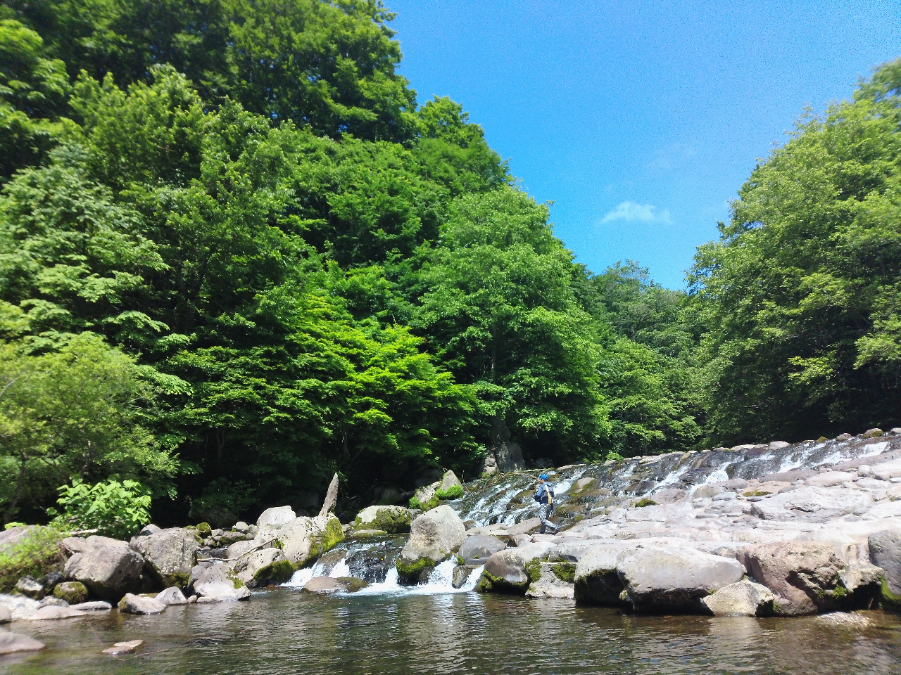 渓流釣り体験♪国立公園内の美しいブナの森の中で...奥入瀬エリアの渓流釣り♪