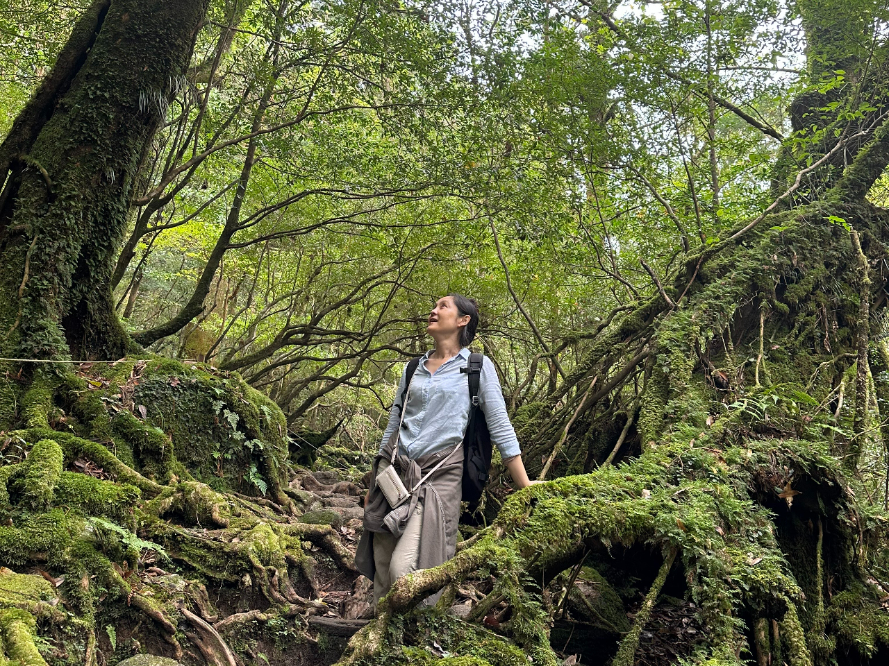 生命力にあふれる豊かな森は、岩も、幹も苔むしています。