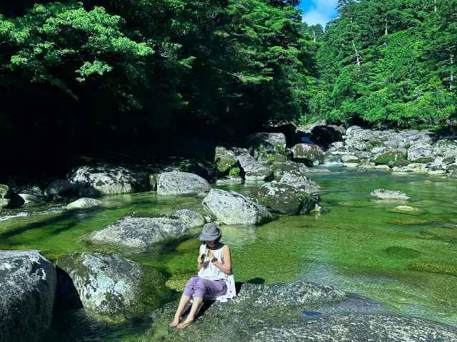 NXMh𗬂r̊̍|āA}CiXCI荞