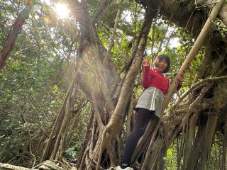 ガジュマルの木に会いに、屋久島西部林道の半山へ!