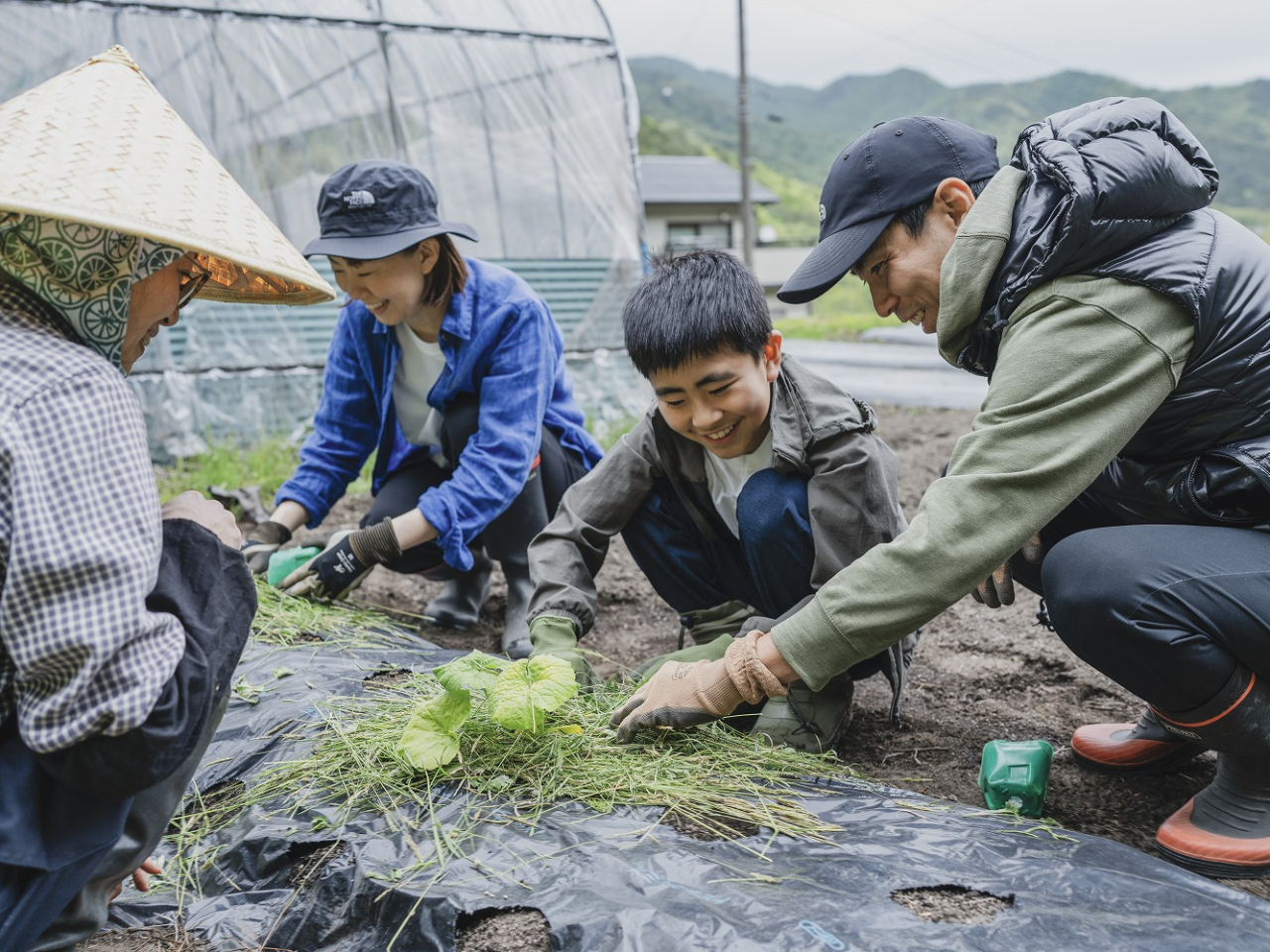 ���ڂ���̐A���t����