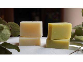 季節にあった石けん作りを体験できます。