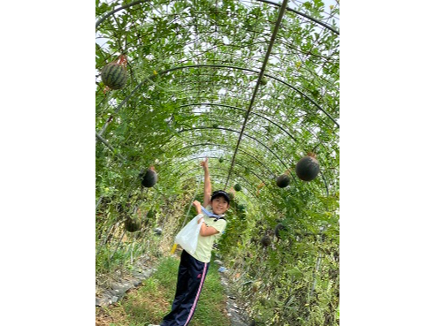 【埼玉・旬の野菜を収穫！詰め放題！】≪三郷ICから5分！≫★入園料プランです。(...
