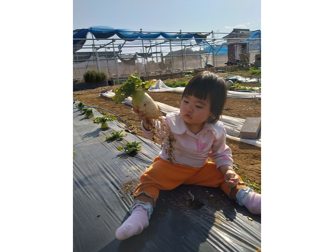 小さな子でも大丈夫!