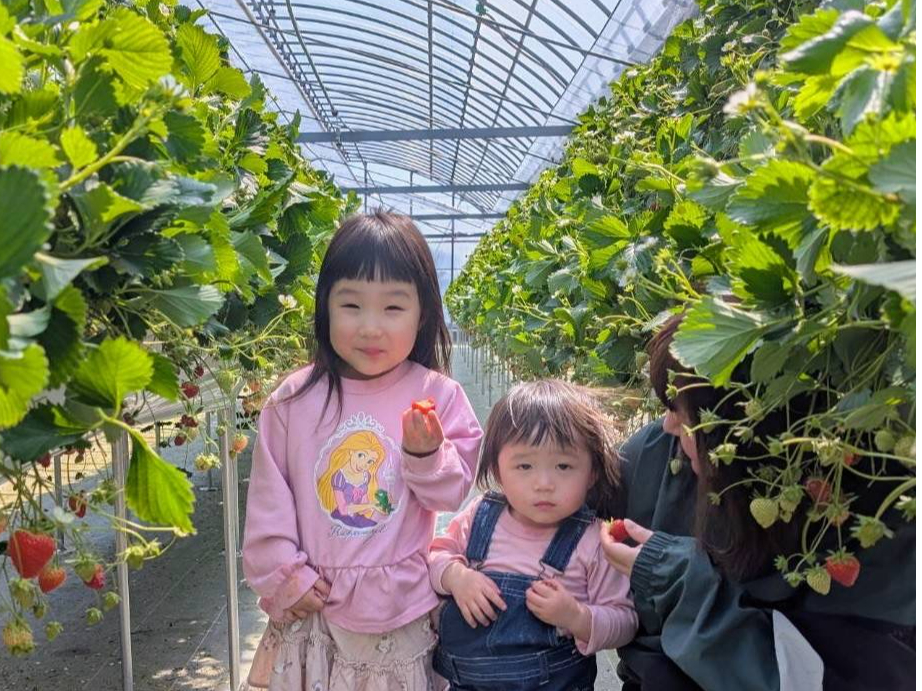 \4品種栽培♪/徳島市初の観光農園♪2段栽培でお子様も楽しめる!自由にくつろげる...