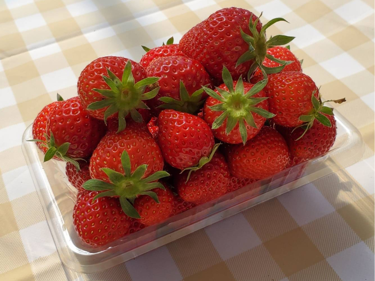 \\摘み取り放題♪//スーパーより新鮮!!その場で摘んでパックに詰め放題♪(25...