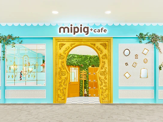 mipig cafe �C�I�����[�������X�̎ʐ^3