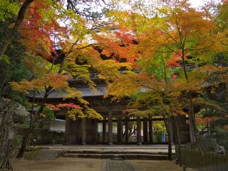 山門と紅葉トンネル