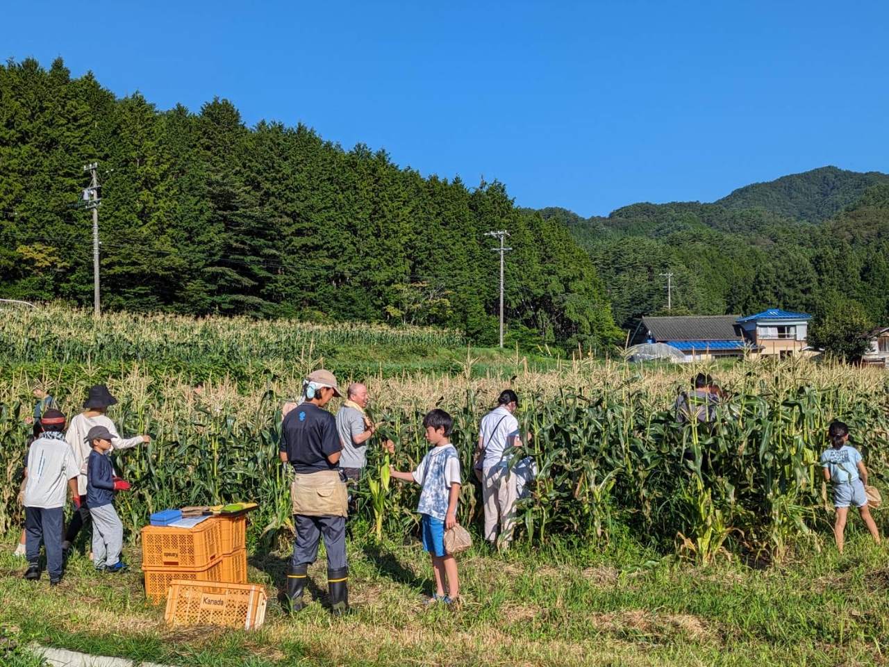 P00036CB8F.jpg?v=1&size=