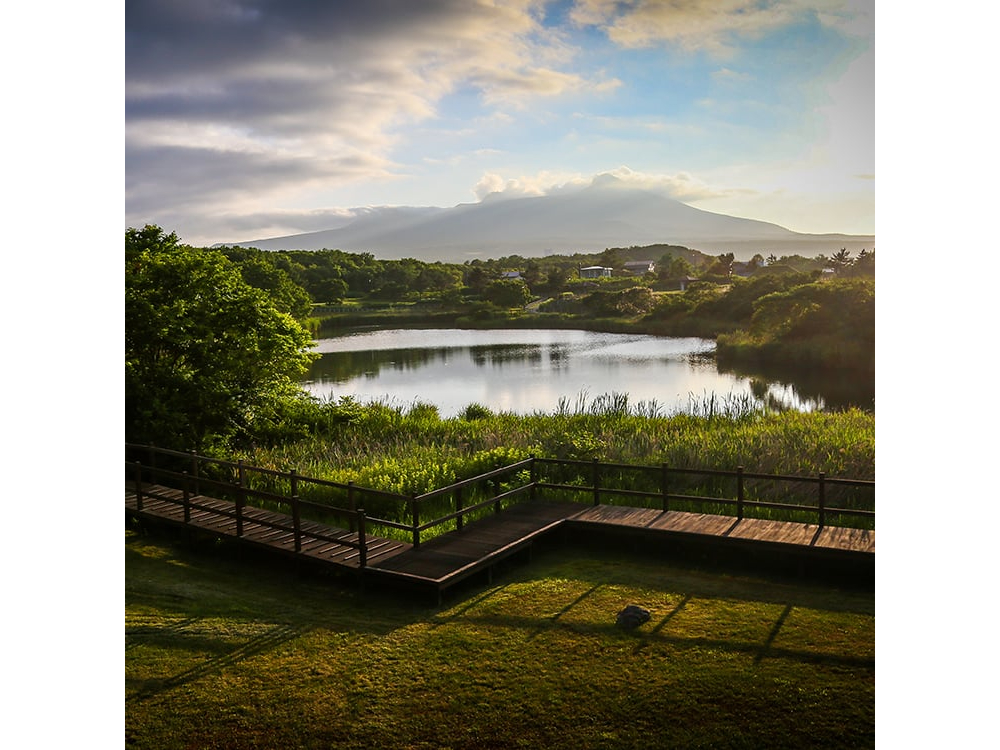 ���͂����Ղ�Ȏ����ł��҂����Ă���܂����i�ʐ^�͖{�v�����̑̌��ꏊ�Ɋ܂܂�܂���̂ł����ӂ��������B�j