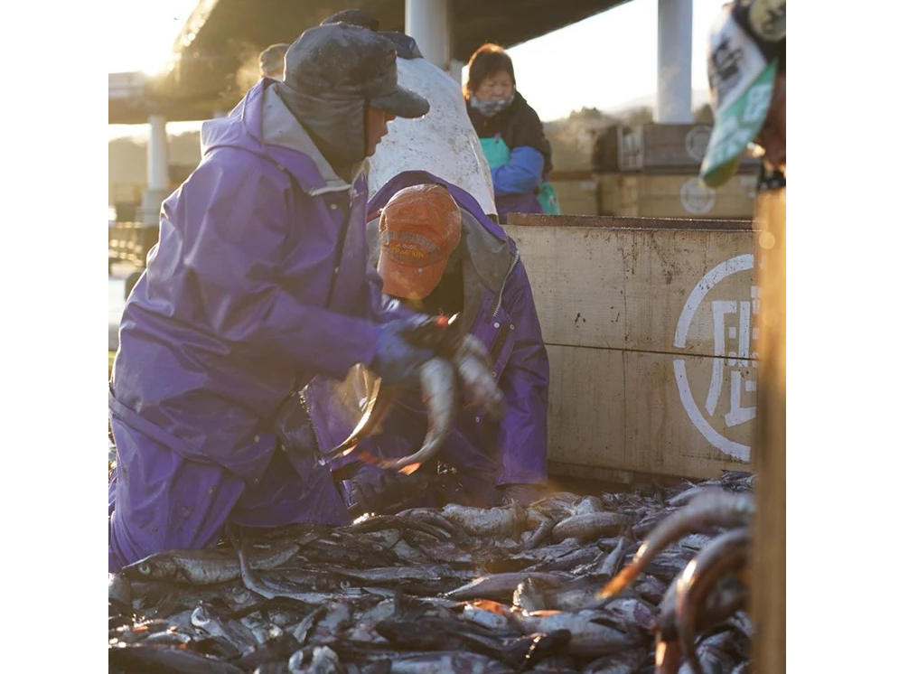 【北海道・漁業と温泉の街】地元ガイドとともに鹿部漁港を散策しよう!~ファミリー、...
