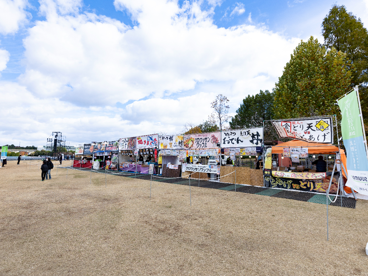 ぷうあさま専用 （原画）夜空に咲く花 ほか　5点おまとめ 初音ミク 夜空プログラム 2025｜夜空プログラム スペシャルAR音楽花火