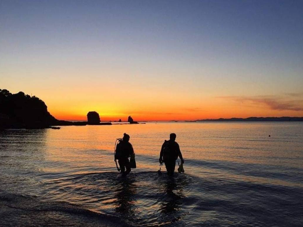 サンセット体験ダイビング!!