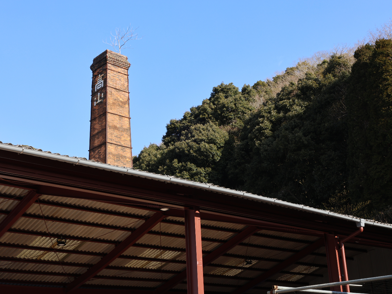 �H�[�̓�����i�ڈ�j