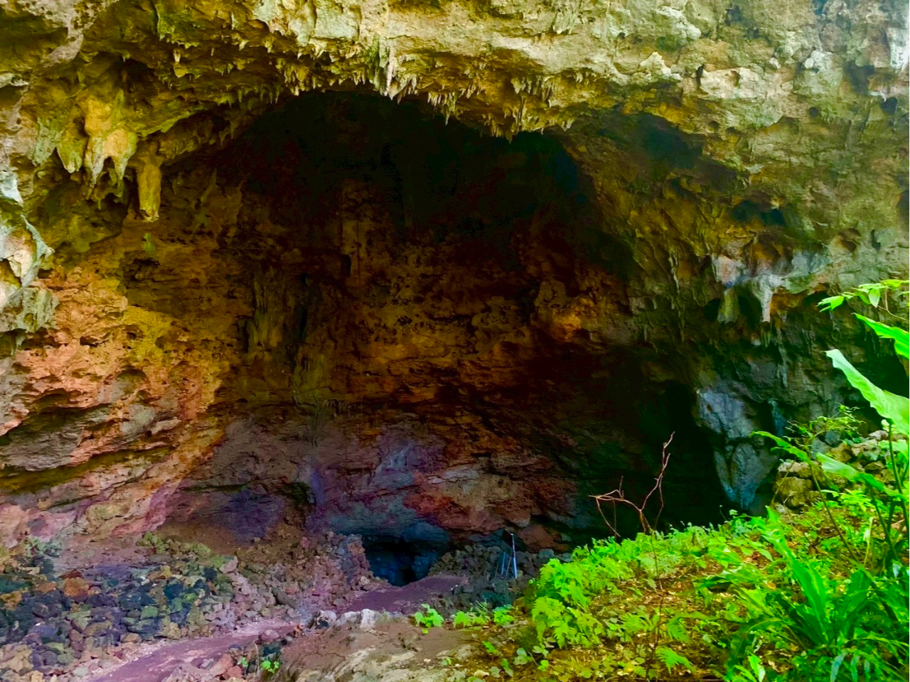 _̃W[K}ATBCg𗊂ɐiޔ̌҂Ă܂I 