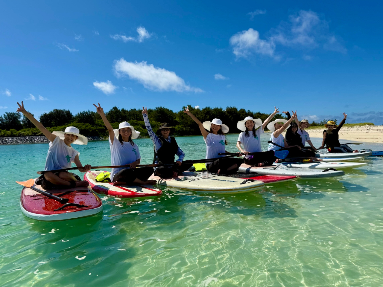 ݂ȂŃCCSUP̌Ic̗lłSĂQ܂B