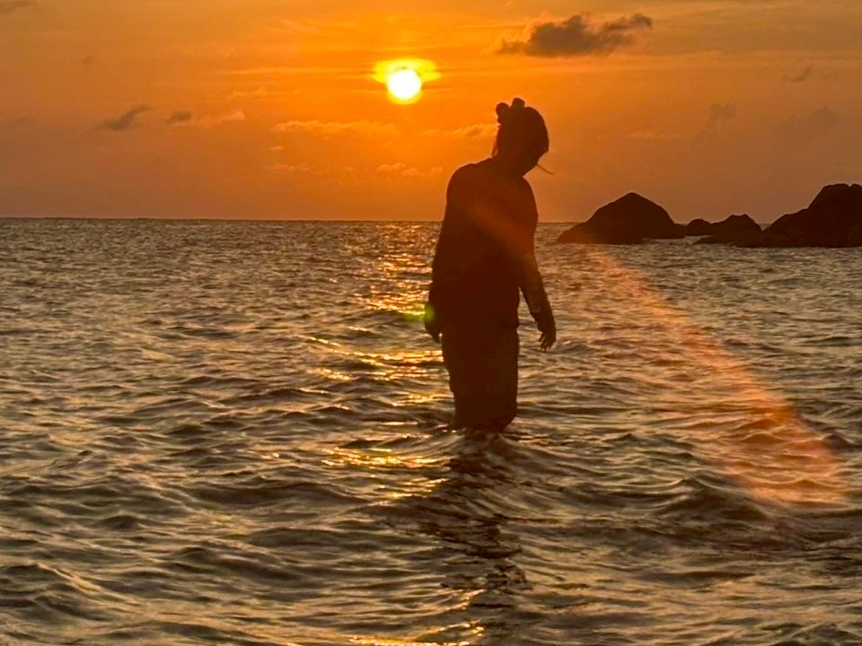 tɕԃVGbgATZbgTbvȂł͂̌iFB